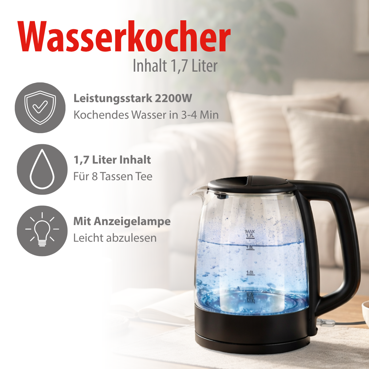Alpina Elektrische Waterkoker 1,7L