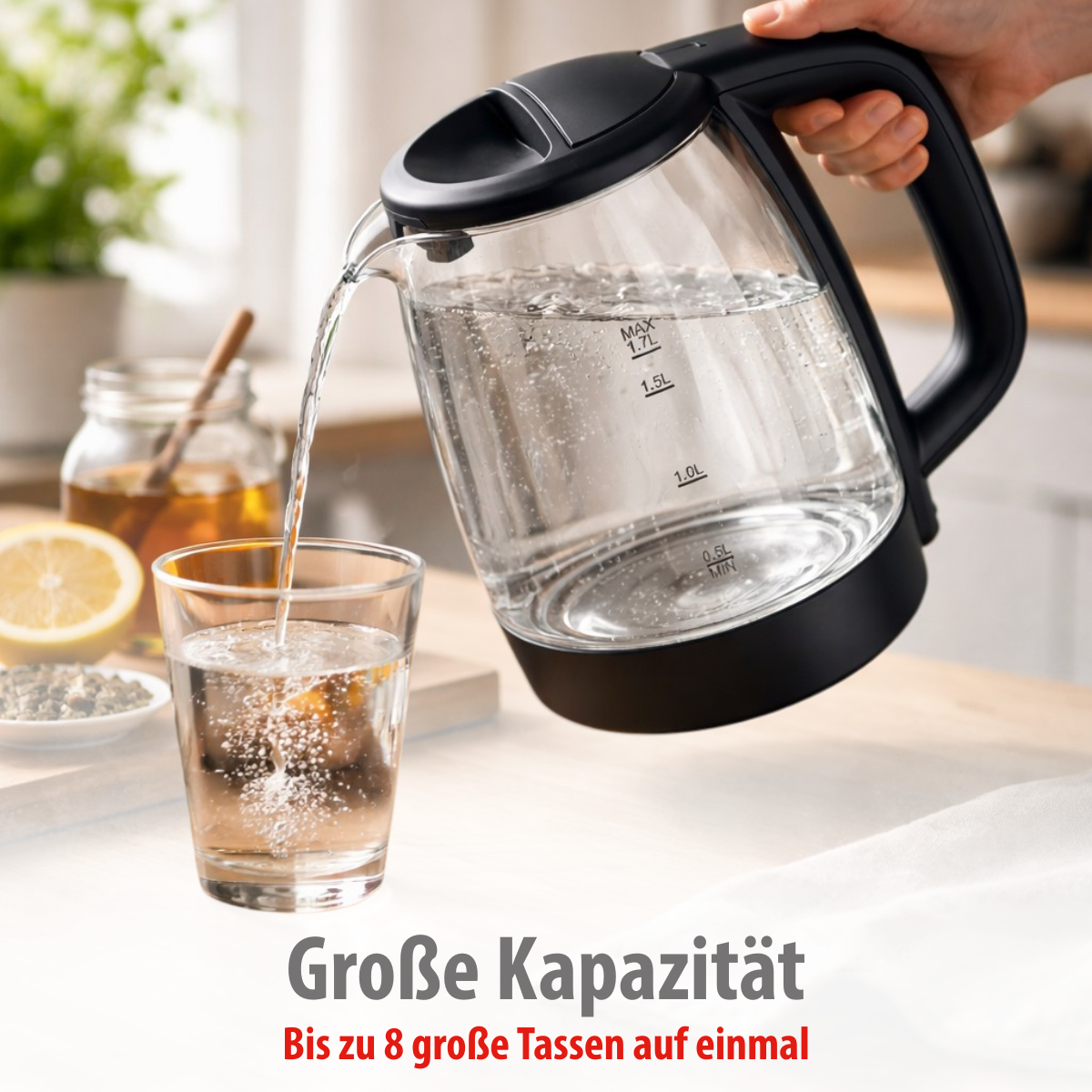Alpina Elektrische Waterkoker 1,7L